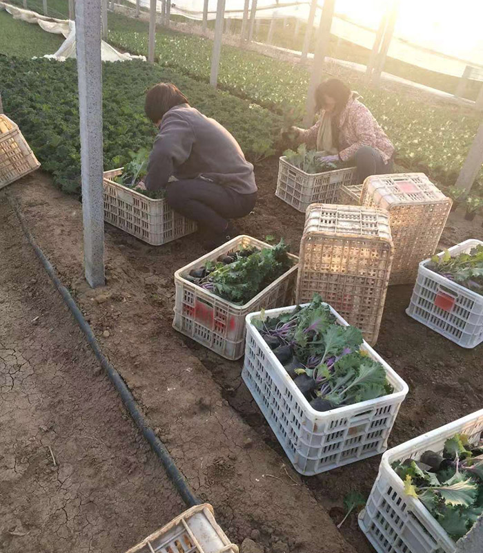 發(fā)貨現(xiàn)場(chǎng)